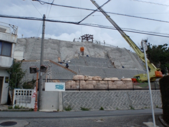 P8150241.JPG